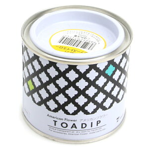 fBbvA[g AJt[ fBbvt160ml no-21 t@[XgCG[