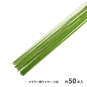 }V nC[ t[pC[ #30 O[ 50{