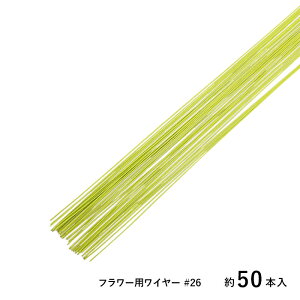 SUNRISE nC[ t[pC[ #26 CgO[ 50{