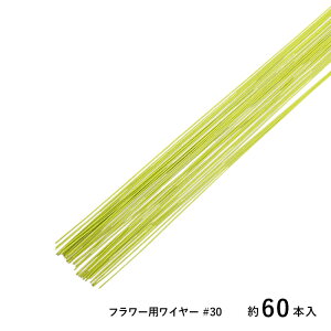 SUNRISE nC[ t[pC[ #30 CgO[ 60{