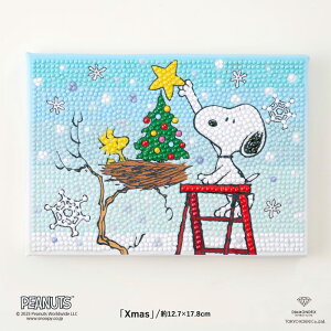 �r�[�Y�L�b�g �_�C�������h�t�B�b�N�X �X�k�[�s�[ Xmas /DF2L-PN002 ���[����/��z��