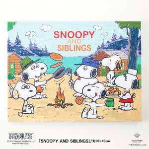 �r�[�Y�L�b�g �_�C�������h�t�B�b�N�X �X�k�[�s�[ SNOOPY AND SIBLINGS /DF34-PN001