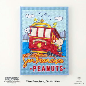 �r�[�Y�L�b�g �_�C�������h�t�B�b�N�X �X�k�[�s�[ San Francisco /DFB5-PN004 ���[����/��z��