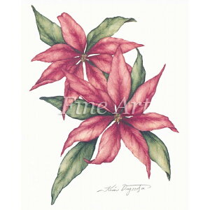 Vh[vgu|Z`AvFA17-02 [/z։