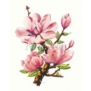 �V���h�[�v�����g�u�}�O�m���A�vFA18-005 ���[����/��z�։�