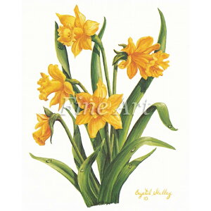 Vh[vgui4×5C`jvFA18-012 [/z։