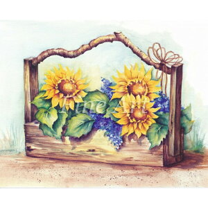 Vh[vguЂ܂̊񂹐Ai4×5C`jvFA18-016 [/z։