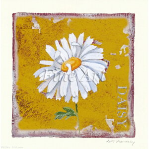 シャドープリント「花-輪デイジー」FA18-044 メール便/宅配便可