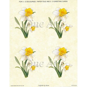 シャドープリント「ラッパ水仙」FA18-061 メール便/宅配便可