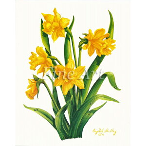 Vh[vgui8×10C`jvFA18-067 [/z։