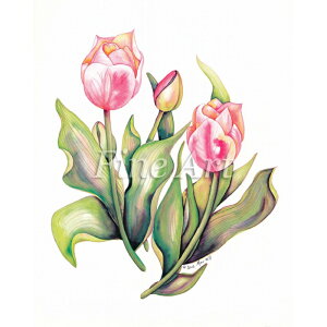 Vh[vgusN`[bvi8×10C`jvFA18-075 [/z։