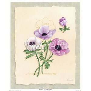 シャドープリント「アネモネ1(8×10インチ)」FA18-079 メール便/宅配便可
