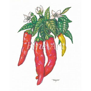 Vh[vguƂ炵vFA18-088 [/z։