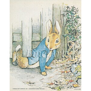 Vh[vgu炵Ii4×5C`jvFA18-213 [/z։