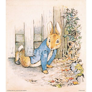 Vh[vgu炵Ii7×8C`jvFA18-221 [/z։