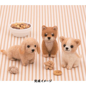 tFgrуLbg n}iJ AN[kł xr[Aj} ̐Ԃ [/z։