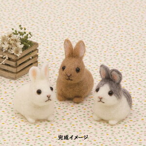 tFgrуLbg n}iJ AN[kł xr[Aj} ̐Ԃ [/z։