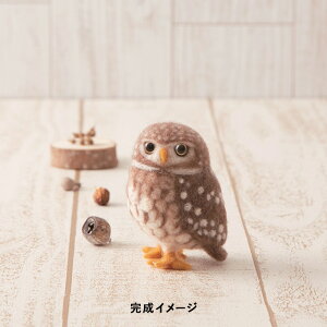 tFgrуLbg n}iJ j[htFgłǂԂ RLtNE [/z։