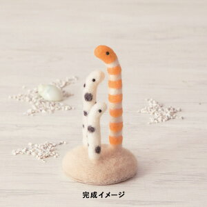 tFgrуLbg n}iJ j[htFgłǂԂ jVLAiSƃ`AiS [/z։