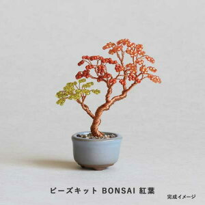 �r�[�Y�L�b�g MIYUKI nejitte �l�W�b�e BONSAI �g�t Maple �@hca30-5