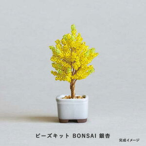 �r�[�Y�L�b�g MIYUKI nejitte �l�W�b�e BONSAI ��� Gingko �@hca30-6