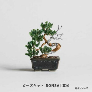 �r�[�Y�L�b�g MIYUKI nejitte �l�W�b�e BONSAI �^�� Shimpaku �@hca30-7