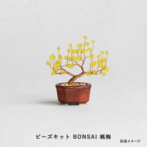 �r�[�Y�L�b�g MIYUKI nejitte �l�W�b�e BONSAI �X�~ Winter sweet �@hca30-8