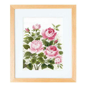 IpX hJ Lbg NXXeb` Ẽ݂o [/z։ no-7181