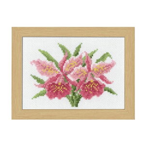 IpX hJLbg NXXeb` 1JgA [/z։ no-7506