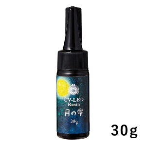 PADICO ���W���t UV-LED���W�� ���̎� 30g