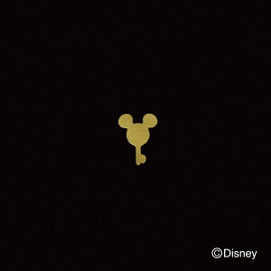 fBYj[ ~jp[c ~bL[/L[ LICD-30 [/z։