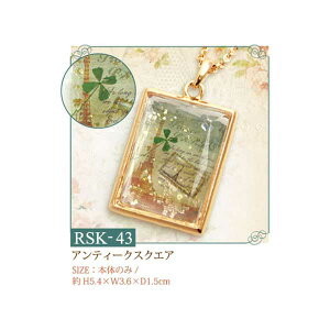 NX^WG[ANZT[ AeB[NXNGA RSK-43 [/z։