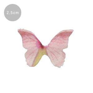 WNtg VtHp[c X sN 2.5cm [/z։ rs-737