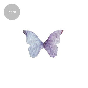 WNtg VtHp[c X  2cm [/z։ rs-739