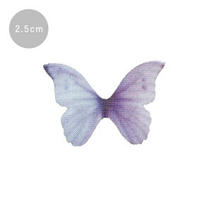 WNtg VtHp[c X  2.5cm [/z։ rs-740