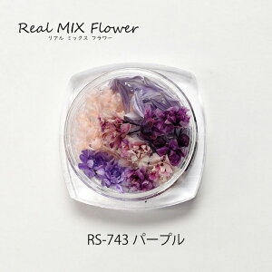 WNtg A~bNXt[ p[v [/z։ rs-743