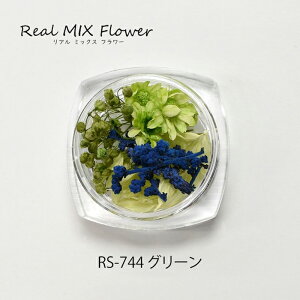 WNtg A~bNXt[ O[ [/z։ rs-744