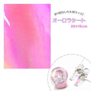 WNtg tB I[V[g  sN [/z։