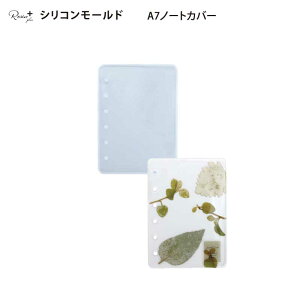 Resin plus VR[h A7m[gJo[ [/z։ xsr-62