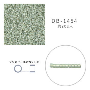 MIYUKI fJr[Y DB-1454 Ip[Giĕt 20g [/z։ db-1454-20g