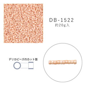 MIYUKI fJr[Y DB-1522 c MNGiĕtAB 20g [/z։ db-1522-20g