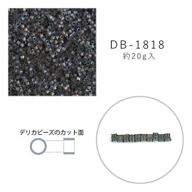 MIYUKI デリカビーズ DB-1818 シルク中染 20g メール便/宅配便可 db-1818-20g