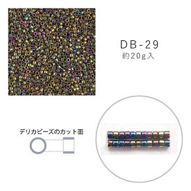 MIYUKI デリカビーズ DB-29 ニッケルメッキAB 20g メール便/宅配便可 db-29-20g