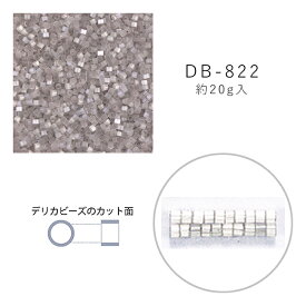 MIYUKI デリカビーズ DB-822 シルクエナメル焼付 20g メール便/宅配便可 db-822-20g