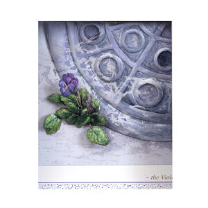 Vh[vguThe Violetsv [/z։ 3d-yt0145