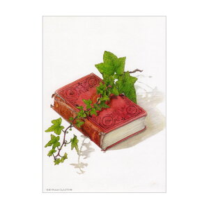 Vh[vgu`to Journey`v [/z։ 3d-yt198