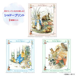 Vh[vg Ă邩y! _3ރZbg s[^[rbg(TM) [/z։