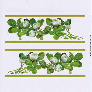 Vh[vgAEBECUBEyNo[̃b{[_[z C-174 [/z։