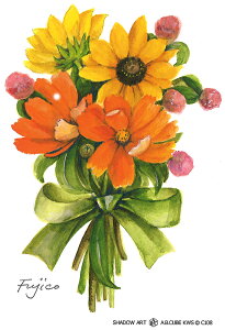 シャドープリントA・B・CUBE【オレンジ色の花束】(解説付き) C108-S メール便/宅配便可