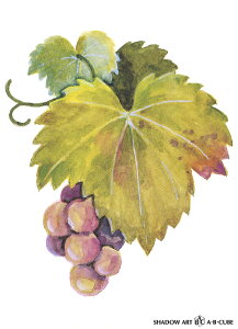 Vh[vgAEBECUBEyԂǂz C110 [/z։